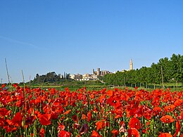 L'Arboç – Veduta