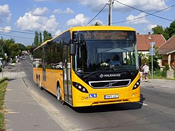 800-as busz Pilisvörösváron