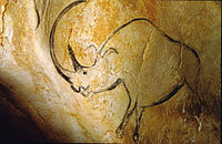 Chauvet Cave