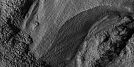 Close-up of gully alcove showing "gullygons" (polygonal patterned ground near gullies), as seen by HiRISE under HiWish program Note this is an enlargement of a previous image.