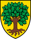 Wappen von Echallens