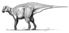 Gryposaurus notabilis