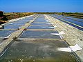 Salt evaporation pond (Île de Ré)