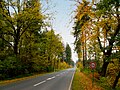 Blick zur Gauseköte im Teutoburger Wald