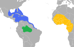 Distribución de las especies de Trichechus