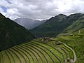 Tanah ladang teres di Peru, yang diguna pakai oleh Inca.