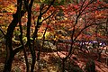 * Nomination Zuihoji Park in Arima Onsen --663highland 13:08, 19 August 2010 (UTC) * Promotion  Support Beautiful colors. Yann 09:07, 24 August 2010 (UTC)