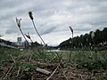 Saarbrücken, August 2019