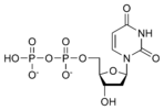 Chemical structure of deoxyuridine diphosphate