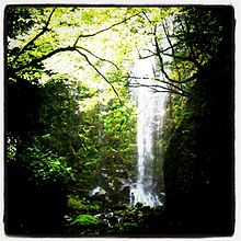 Otobaru Waterfall Beppu.JPG