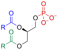 Fosfatidato