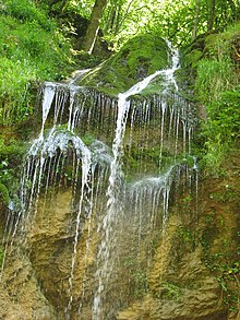 Slapnica-zumberak.jpg