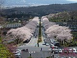 冨士霊園（静岡県）