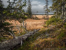 Contea de Västerbotten - Sœmeanza