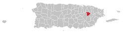 Localização de Gurabo em Porto Rico