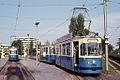 Two Class M trams in August 1974