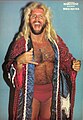 Michael Hayes