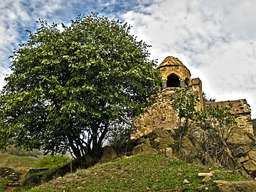 Սուրբ Հովհաննես-Արդվի