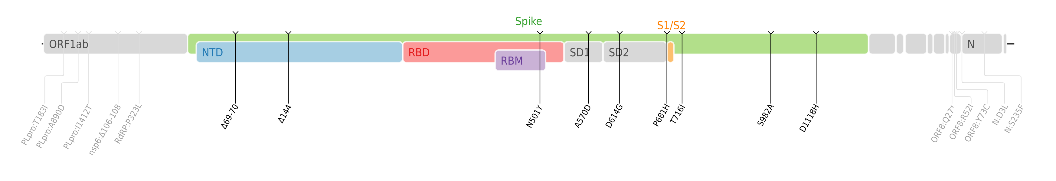 Amino acid mutations of SARS-CoV-2 Alpha variant plotted on a genome map of SARS-CoV-2 with a focus on Spike.[17]