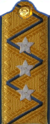 погоны ГБ 1943