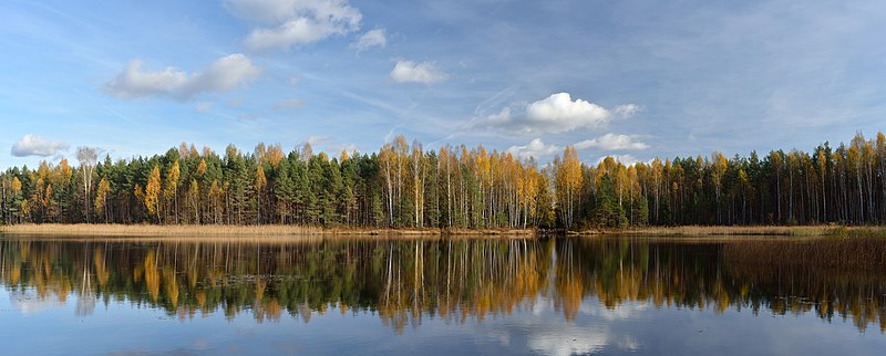 Niinsaare järv