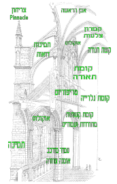 חלקי הקיר הגותי (Cathedral of Amiens)