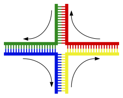 Estructura de la junció de Holliday