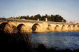 Puente de Palmas.