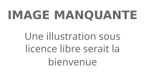 Description de l'image défaut.svg.