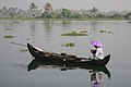 Canoe in Kerala, India.