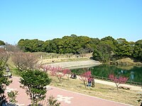 佐布里綠與花交流公園內的佐布里池及梅花樹