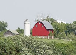 Barn in Chanhassen