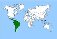 O besouro A. longimanus é encontrado em grande parte da região neotropical.