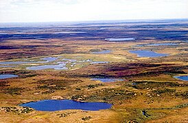 Tundra bei Dudinka am Jenissei in Sibirien