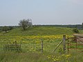 Vliedberg Baarsdorp-Noord