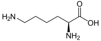 ▵ Structuurformule van L-lysine