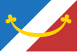 Vlag