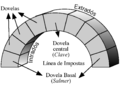 Español: Arco de medio punto, partes