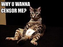 A picture of a striped cat in an apparent seated position with its legs spread, looking at the camera. In the upper left corner is the text «Why U Wanna Censor Me?» in white capital letters