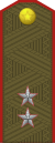 中将