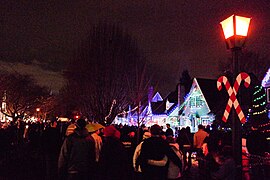 Lights on Peacock Lane