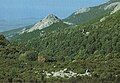 La cupola fonolitica di Monte Ala (844 m s.l.m.) tra la lecceta dietro Cuglieri