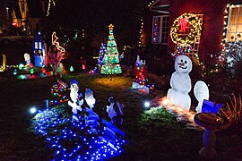 Lights on Peacock Lane