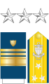 Distintivo per paramano dell'uniforme ordinaria invernale, controspallina estiva e fregio da colletto della USCG.