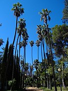 Parque de Castelar.