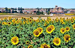 View of Padilla de Abajo