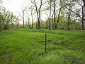 Russian cemetery from I W.W. in Wiskitki (Poland)