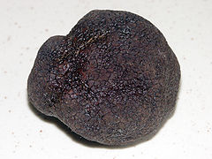 Black Périgord Truffle