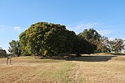 津堂城山古墳[11][43]（大阪に来た路花がしばらく居着いており､「異邦人」を歌うなどしていた。 ）