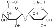 Maltose